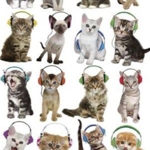 Meet your Posher, Zaraslife